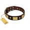 "Heavy Metal" FDT Artisan Brown Leather English Pointer Collar with Old Bronze-like Skulls and Plates
