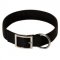 2 Ply Nylon English Pointer Collar