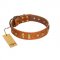 "Sand of Time" FDT Artisan Tan Leather English Pointer Collar with Old Bronze-like Studs and Plates