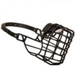 Frost-Resistant Wire Cage English Pointer Muzzle with One Adjustable Strap