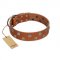 "Ancient Symbol" Trendy FDT Artisan Tan Leather English Pointer Collar with Silver- and Gold-Like Studs