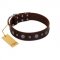 "Pure Sensation" Exclusive FDT Artisan Brown Leather English Pointer Collar with Fancy Brooches and Studs