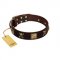 "Crazy Pirate" FDT Artisan Brown Leather English Pointer Collar with Old Bronze-Plated Skulls and Plates