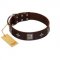 "Cold Star" Designer FDT Artisan Brown Leather English Pointer Collar with Silver-Like Adornments