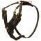 Padded Leather English Pointer Harness for Agitation Training