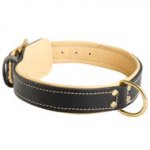 Padded Leather English Pointer Collar