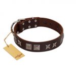 "Needle Stories" Modern FDT Artisan Brown Leather English Pointer Collar with Square Engraved Plates and Four-Point Stars