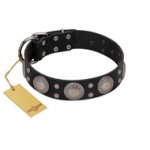 "Starry Sky" Trendy FDT Artisan Black Leather English Pointer Collar with Large Brooches