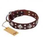 "King of Grace" FDT Artisan Stylish Leather English Pointer Collar with Old Silver-Like Plated Decorations