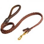 English Pointer Leather Braided Dog Leash