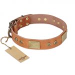 "The Middle Ages" FDT Artisan Handcrafted Tan Leather English Pointer Collar