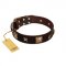 "Choco Dreams" FDT Artisan Brown Leather English Pointer Collar with Squares and Stars