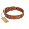 "Woofy Majesty" FDT Artisan Tan Leather English Pointer Collar with Round Silver-like Plates