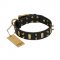 "Medieval Style" FDT Artisan Leather English Pointer Collar with Brass Plated Plates and Spikes