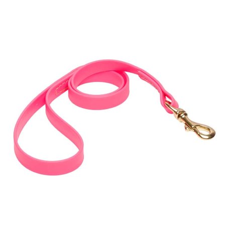Pink Waterproof English Pointer Leash Made of Biothane