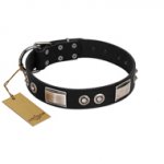 "Grand Wear" FDT Artisan Black Leather English Pointer Collar with Shining Plates and Spiked Studs