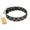 "Romantic Breeze" FDT Artisan Black Leather English Pointer Collar with Sparkling Circles