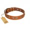 "Precious Relic" FDT Artisan Tan Leather English Pointer Collar Adorned with Old Bronze Look Studs