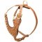 Brass Spiked Leather English Pointer Harness for Fashion Walking
