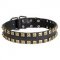 2 Rows Brass Studded Leather English Pointer Collar for Walking and Training