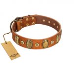 "Crystal Sand" FDT Artisan Tan Leather English Pointer Collar with Vintage Looking Oval and Round Studs