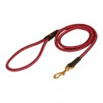 English Pointer Nylon Leash Multifunctional