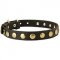 Leather English Pointer Collar with Brass Circles for Fashionable Walking