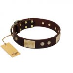 "Middle Age" FDT Artisan Brown Leather English Pointer Collar with Old Bronze-Plated Engraved Flowers and Large Plates