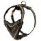 Painted Leather English Pointer Harness for Walking and Training