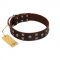 "Brown Shadow" Designer Handmade FDT Artisan Brown Leather English Pointer Collar