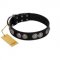 "Magic Amulete" Handcrafted FDT Artisan Black Leather English Pointer Collar with Chrome-Plated Shields