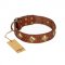 "Flight of Fancy" FDT Artisan Adorned Leather English Pointer Collar