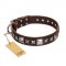 "Perfect Impression" FDT Artisan Brown Leather English Pointer Collar with Silvery Square Studs