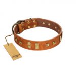 "Sand of Time" FDT Artisan Tan Leather English Pointer Collar with Old Bronze-like Studs and Plates