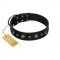 "Mr. Elegance" Designer FDT Artisan Black Leather English Pointer Collar with Silver-Like Studs