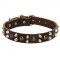 Leather English Pointer Collar With Studs and Pyramids