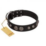 "Tricky Ricky" FDT Artisan Black Leather English Pointer Collar Adorned with Silver-Like Conchos