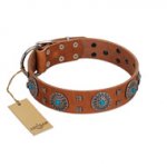 "Blue Sands" FDT Artisan Tan Leather English Pointer Collar with Silver-like Studs and Round Conchos with Stones