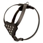 Designer Leather English Pointer Harness with Adjustable Straps for Puppy Walking and Training