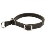 English Pointer Leather Choke Collar