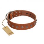 "Broadway" Handmade FDT Artisan Tan Leather English Pointer Collar with Dotted Pyramids