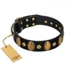 "Venerable Pawty" FDT Artisan Black Leather English Pointer Collar with Old Bronze-like Ovals and Studs