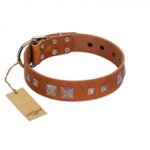 "Egyptian Gifts" Handmade FDT Artisan Tan Leather English Pointer Collar with Chrome-plated Pyramids