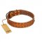 "Walk and Shine" FDT Artisan Tan Leather English Pointer Collar with Antiqued Studs