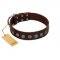 "Starry-Eyed" Best Quality FDT Artisan Brown Designer Leather English Pointer Collar with Small Plates