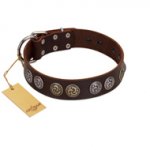 "Treasure Hunter" FDT Artisan Brown Leather English Pointer Collar with Old-Bronze-like and Silvery Medallions