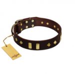 "Blinking Illusion" FDT Artisan Brown Leather English Pointer Collar with Old Bronze-like Studs and Plates