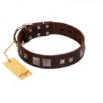 "Object of Virtu" FDT Artisan Brown Leather English Pointer Collar with Old Silver-like Square Studs and Pyramids