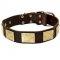Handcrafted Leather English Pointer Collar With Vintage Massive Plates