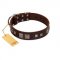 "Object of Virtu" FDT Artisan Brown Leather English Pointer Collar with Old Silver-like Square Studs and Pyramids